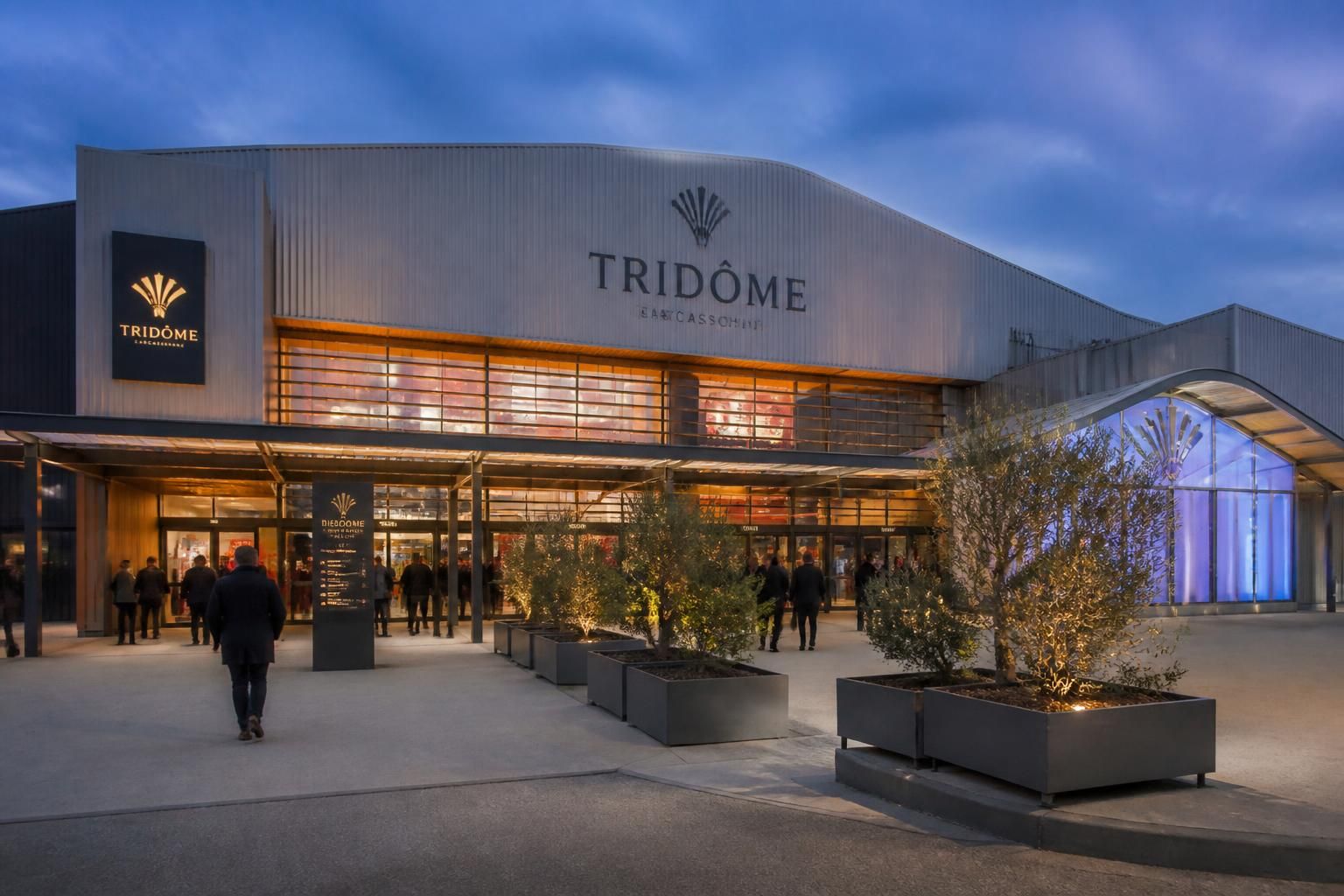 plongez dans l'univers captivant de tridome carcassonne et vivez une expérience immersive unique alliant modernité et découverte.